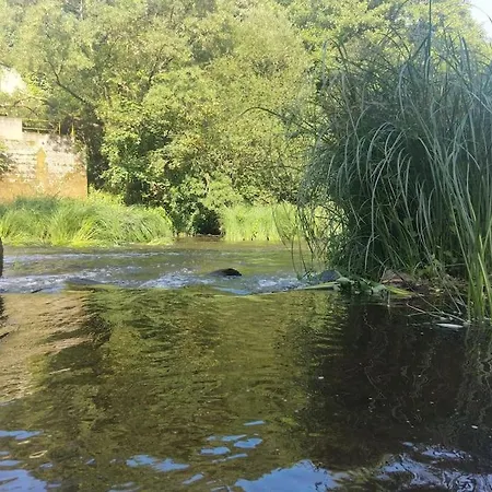 Logement Entre Riviere, Falaise Et Chateau ! 아파트
